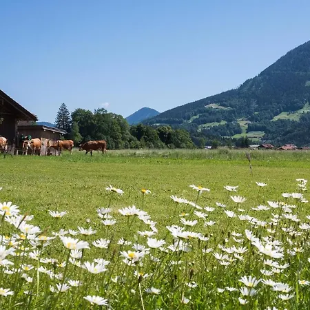 Drachllehen * Schoenau am Koenigsee